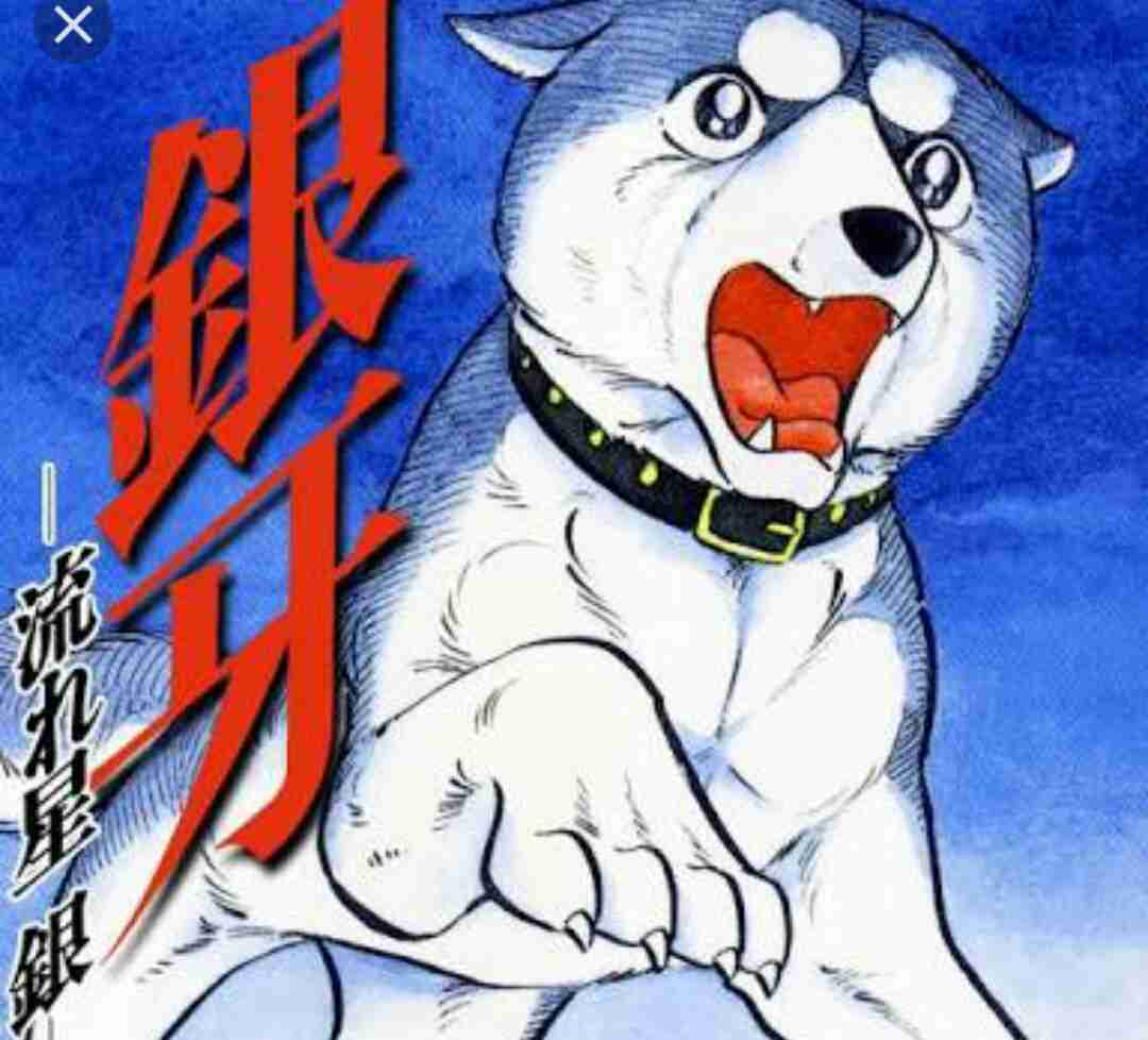 子供の頃好きだったアニメに＋するトピ