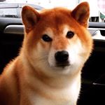 どうでもいいことを呟いてガルちゃん民にお知らせするトピ