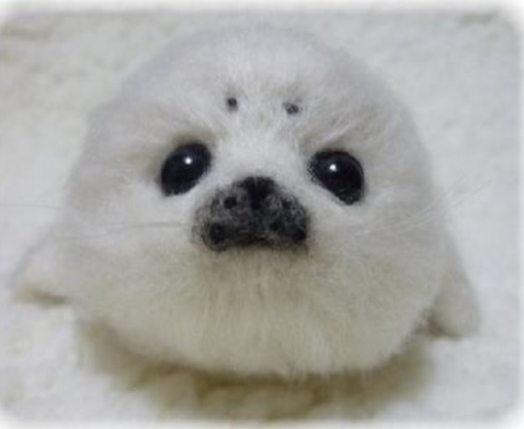 真っ〇な画像を貼るトピ