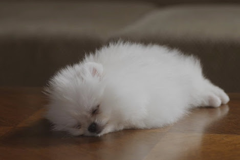 真っ〇な画像を貼るトピ