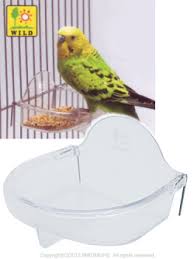 セキセイインコ飼ってる方！
