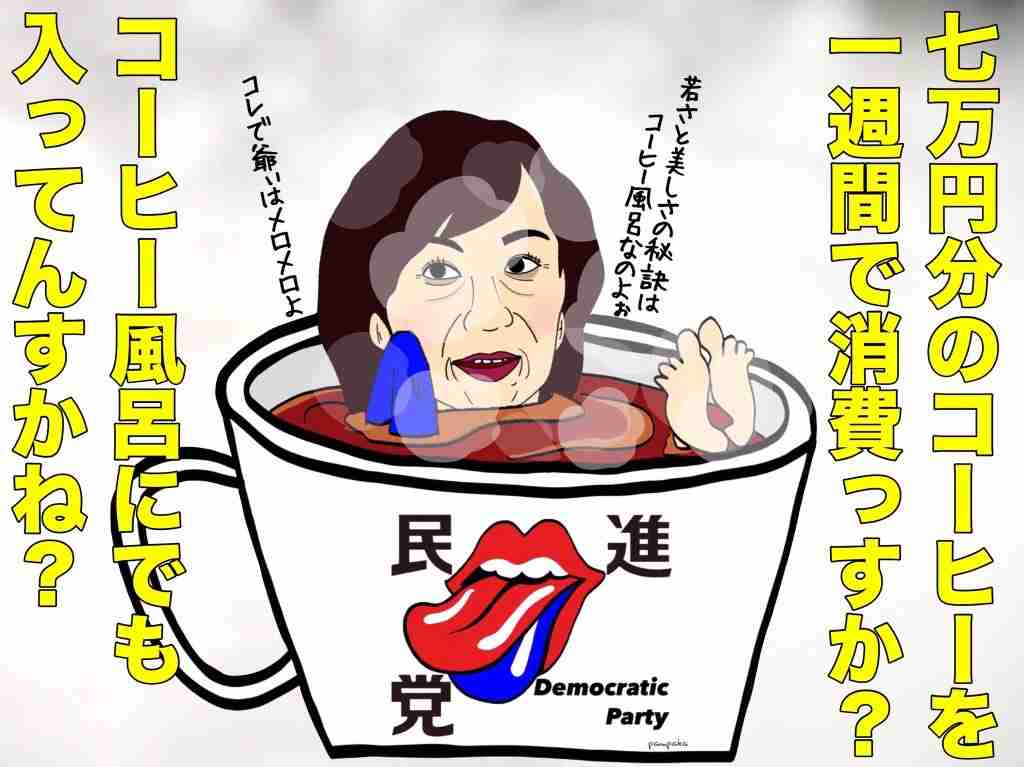 民進・山尾志桜里政調会長、驚愕の“ガソリン代疑惑”に続きコーヒー7万円購入も発覚