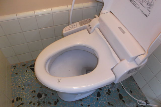 これで元気になりました