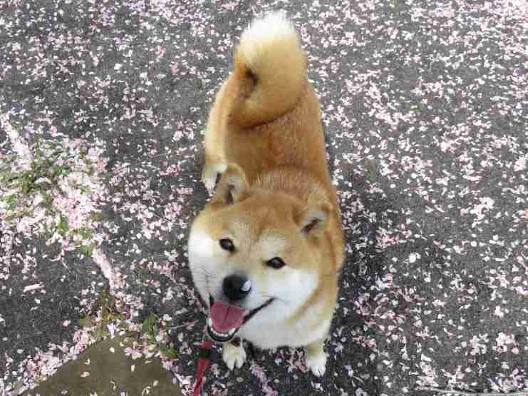 これがあるから頑張れる!