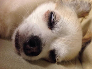 玉の輿にのった方〜！(※妄想も可)