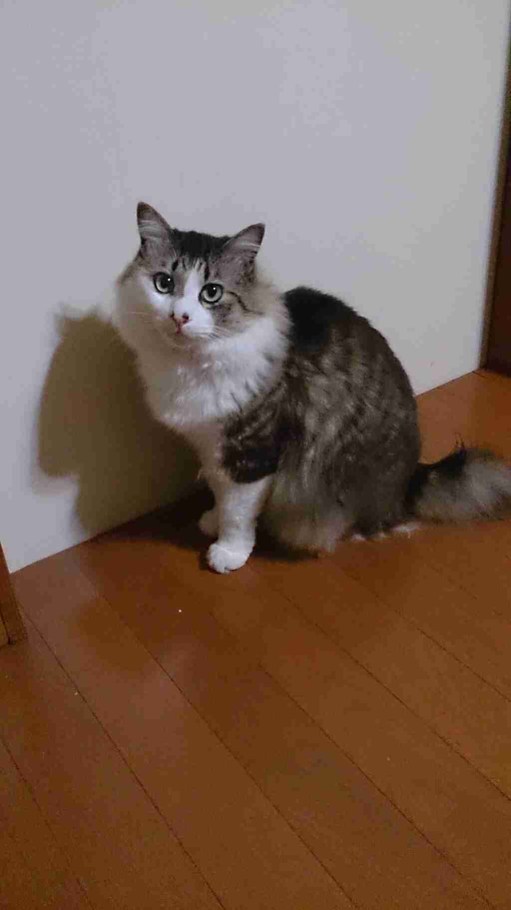 顔の一部で誰か当てるトピ