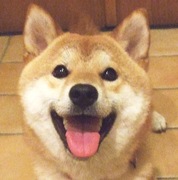 爽やかな早朝にデートしたくなるようなイケメンください