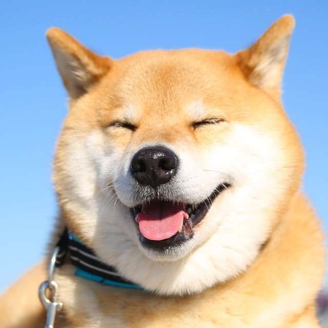 爽やかな早朝にデートしたくなるようなイケメンください