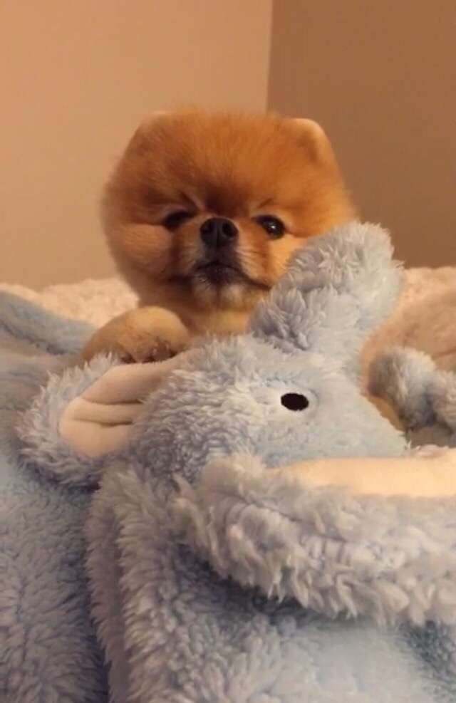 爽やかな早朝にデートしたくなるようなイケメンください