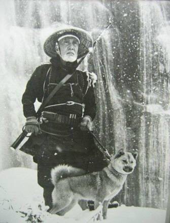 賢そうに見える動物の画像トピ