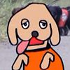 賢そうに見える動物の画像トピ