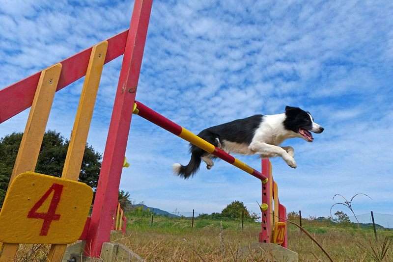 独身の人の休日の過ごし方
