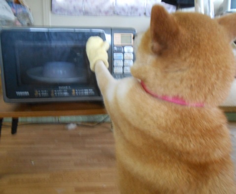 独身の人の休日の過ごし方