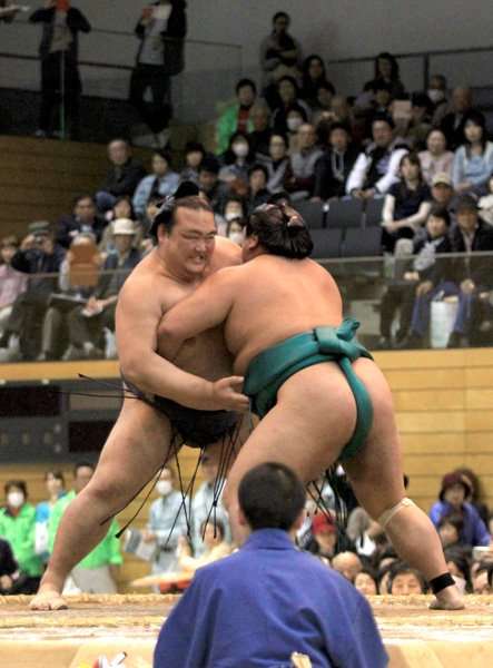 相撲巡業に行ったことのある人いますか？