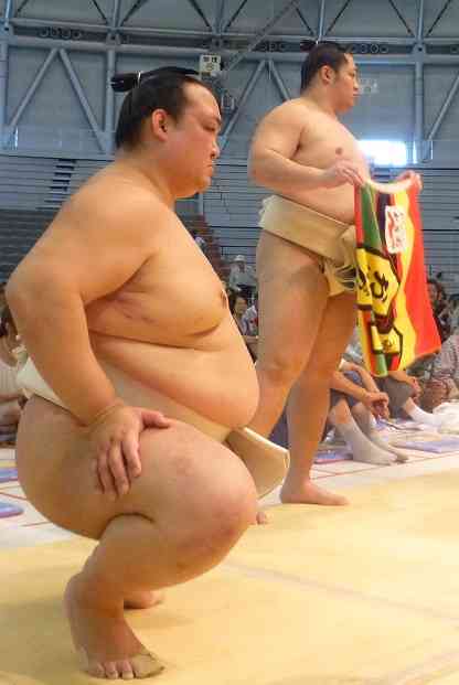 相撲巡業に行ったことのある人いますか？