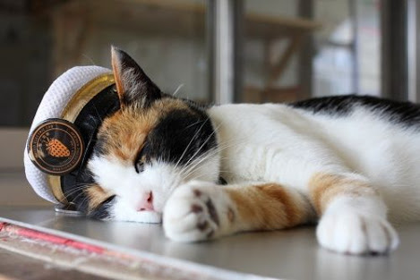 超リラックスしている【動物画像】トピ♪