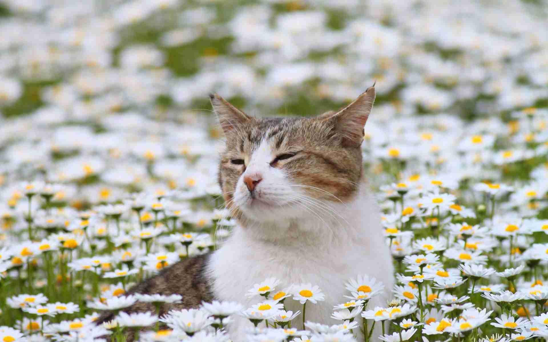 目の保養画像!☆彡