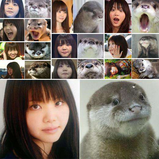 自分を動物で表すと？