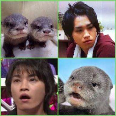 愛嬌たっぷり「カワウソ女子」が人気急上昇中！
