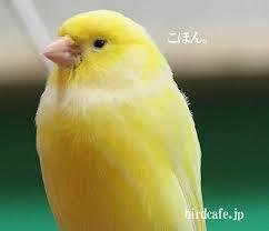 あいうえお・50音雑談