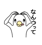 あいうえお・50音雑談