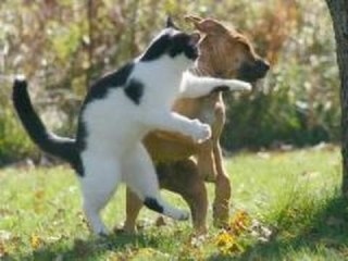 あいうえお・50音雑談