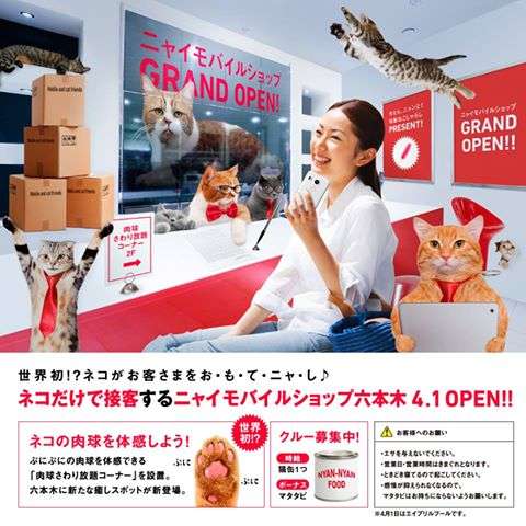 ガルちゃん猫カフェ☆2号店