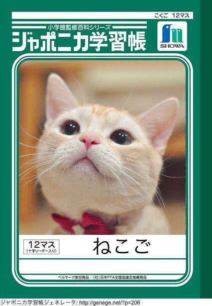 ガルちゃん猫カフェ☆2号店