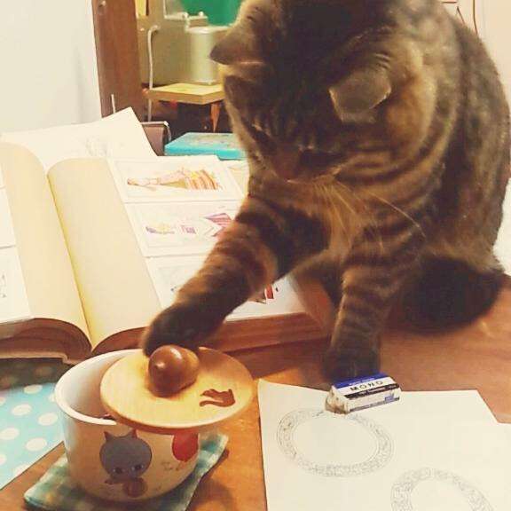 ガルちゃん猫カフェ☆2号店