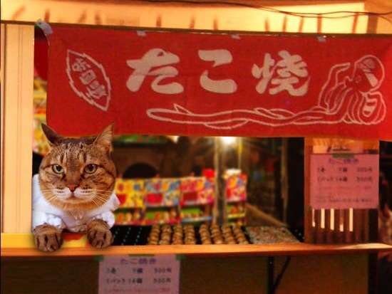 ガルちゃん猫カフェ☆2号店
