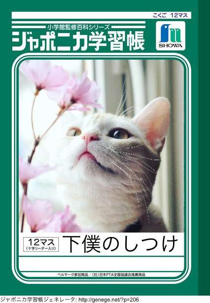 ガルちゃん猫カフェ☆2号店