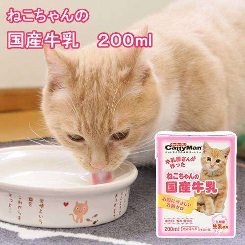 ガルちゃん猫カフェ☆2号店