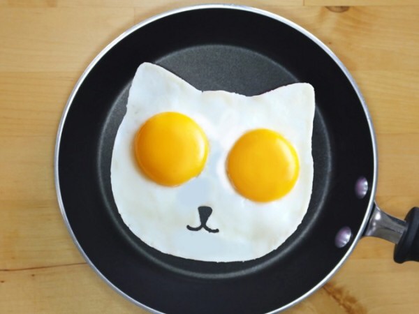 ガルちゃん猫カフェ☆2号店