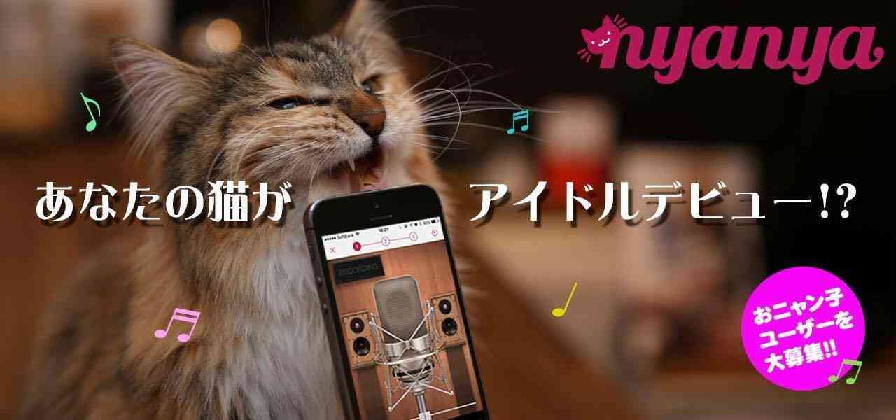 ガルちゃん猫カフェ☆2号店