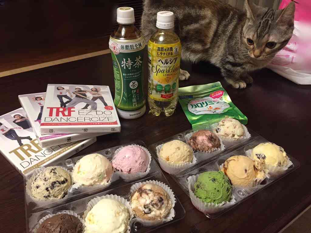 ガルちゃん猫カフェ☆2号店