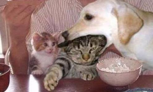 食欲旺盛あるある