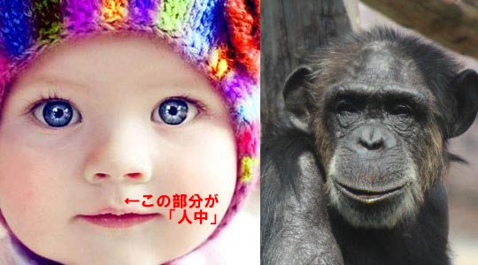 鼻と口の間にある縦筋(人中)が苦手な人!!
