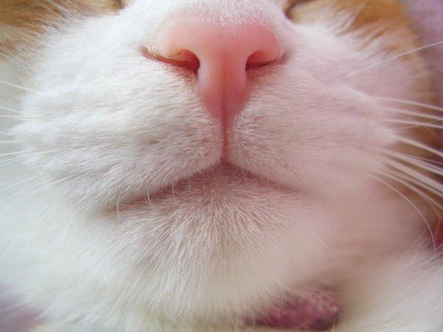 鼻と口の間にある縦筋(人中)が苦手な人!!