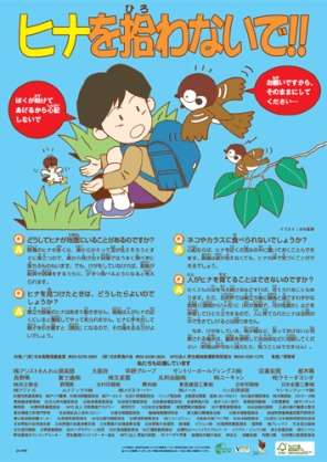 スズメ、ツバメ等の、巣づくりエピソード☆