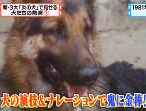 面白かったTVでの出来事・ワンシーン
