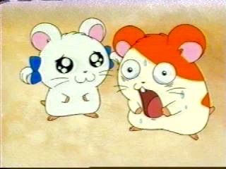 面白かったTVでの出来事・ワンシーン