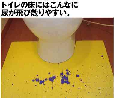 男性家族のトイレ事情