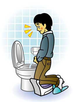 男性家族のトイレ事情