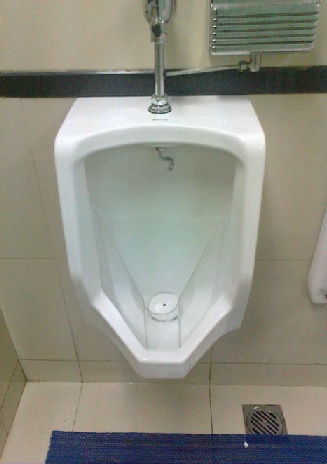 男性家族のトイレ事情