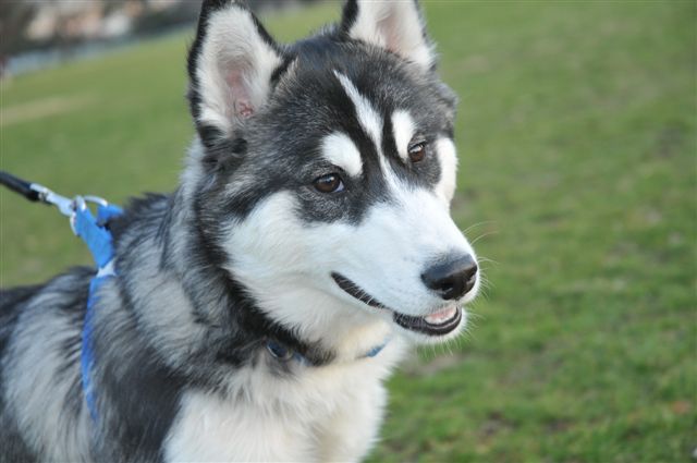 今更気づいたイケメン