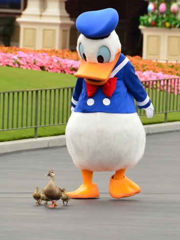 ディズニーキャラクター（好きなキャラはいますか？ ）