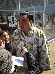 お相撲さん浴衣コレクション2016