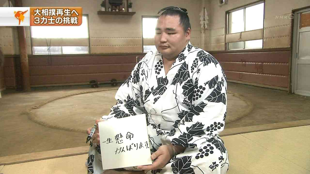 お相撲さん浴衣コレクション2016