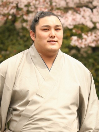 お相撲さん浴衣コレクション2016