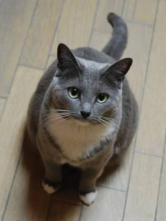 泣いているところを見られた経験
